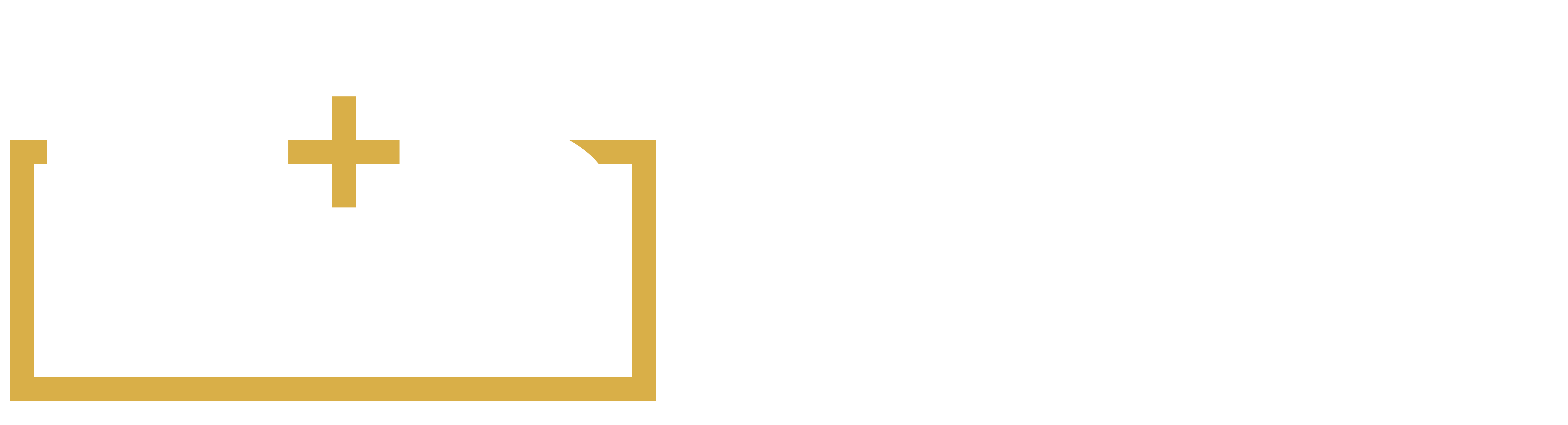 DS Logo Horizontal - white gold